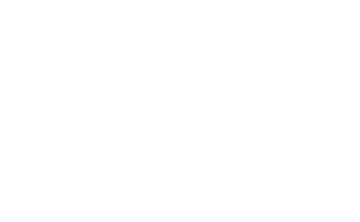 vivo V27 系列北非人文风貌本地化社媒营销 Logo